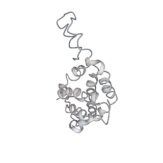 9976_6kgx_uG_v1-1
Structure of the phycobilisome from the red alga Porphyridium purpureum
