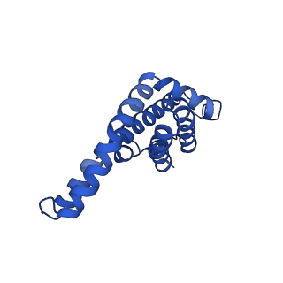 9976_6kgx_uH_v1-1
Structure of the phycobilisome from the red alga Porphyridium purpureum