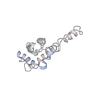 9976_6kgx_v1_v1-1
Structure of the phycobilisome from the red alga Porphyridium purpureum