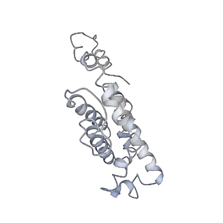 9976_6kgx_vE_v1-1
Structure of the phycobilisome from the red alga Porphyridium purpureum