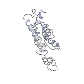 9976_6kgx_vG_v1-1
Structure of the phycobilisome from the red alga Porphyridium purpureum