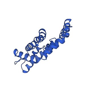 9976_6kgx_vH_v1-1
Structure of the phycobilisome from the red alga Porphyridium purpureum