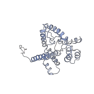 9976_6kgx_wE_v1-1
Structure of the phycobilisome from the red alga Porphyridium purpureum