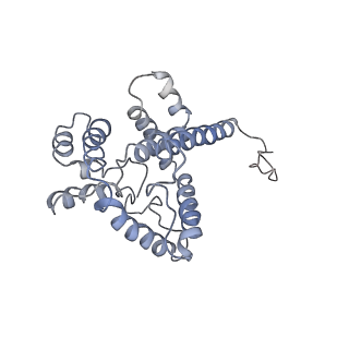 9976_6kgx_wG_v1-1
Structure of the phycobilisome from the red alga Porphyridium purpureum