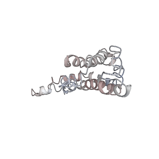 9976_6kgx_x4_v1-1
Structure of the phycobilisome from the red alga Porphyridium purpureum