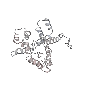 9976_6kgx_xG_v1-1
Structure of the phycobilisome from the red alga Porphyridium purpureum