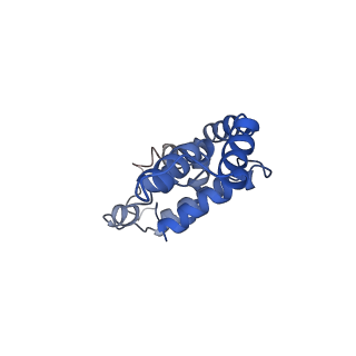 9976_6kgx_xH_v1-1
Structure of the phycobilisome from the red alga Porphyridium purpureum
