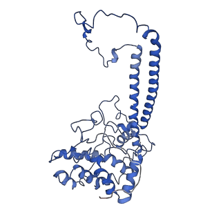 9976_6kgx_zG_v1-1
Structure of the phycobilisome from the red alga Porphyridium purpureum