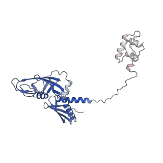 21879_7khc_A_v1-1
Escherichia coli RNA polymerase and rrnBP1 promoter closed complex