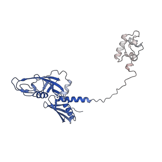 21879_7khc_A_v1-2
Escherichia coli RNA polymerase and rrnBP1 promoter closed complex