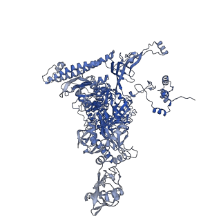 21879_7khc_C_v1-1
Escherichia coli RNA polymerase and rrnBP1 promoter closed complex