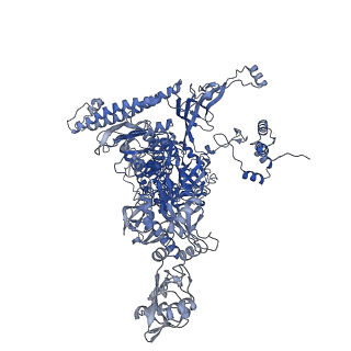 21879_7khc_C_v1-2
Escherichia coli RNA polymerase and rrnBP1 promoter closed complex