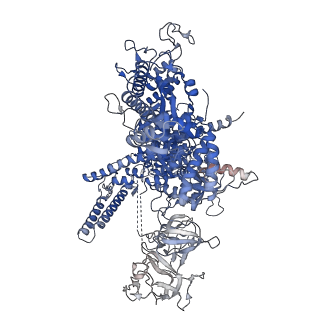 21879_7khc_D_v1-1
Escherichia coli RNA polymerase and rrnBP1 promoter closed complex