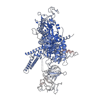 21879_7khc_D_v1-2
Escherichia coli RNA polymerase and rrnBP1 promoter closed complex