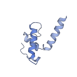 21879_7khc_E_v1-1
Escherichia coli RNA polymerase and rrnBP1 promoter closed complex