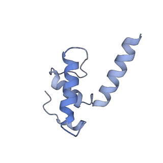 21879_7khc_E_v1-2
Escherichia coli RNA polymerase and rrnBP1 promoter closed complex