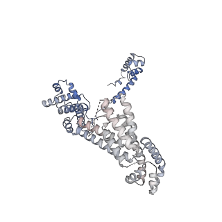 21879_7khc_F_v1-1
Escherichia coli RNA polymerase and rrnBP1 promoter closed complex