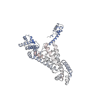 21879_7khc_F_v1-2
Escherichia coli RNA polymerase and rrnBP1 promoter closed complex