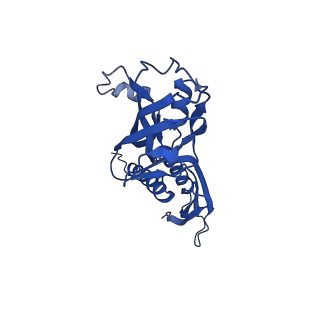 21880_7khb_A_v1-1
Escherichia coli RNA polymerase and rrnBP1 promoter open complex