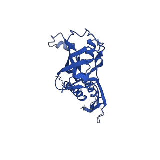 21880_7khb_A_v1-2
Escherichia coli RNA polymerase and rrnBP1 promoter open complex