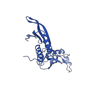 21880_7khb_B_v1-1
Escherichia coli RNA polymerase and rrnBP1 promoter open complex