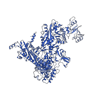 21880_7khb_C_v1-2
Escherichia coli RNA polymerase and rrnBP1 promoter open complex