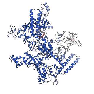 21880_7khb_D_v1-2
Escherichia coli RNA polymerase and rrnBP1 promoter open complex