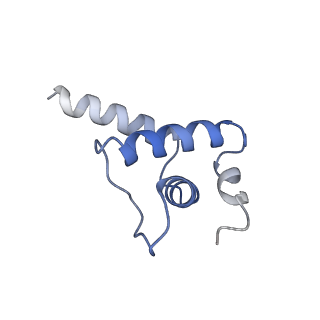 21880_7khb_E_v1-1
Escherichia coli RNA polymerase and rrnBP1 promoter open complex