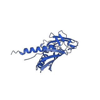 21881_7khi_A_v1-1
Escherichia coli RNA polymerase and rrnBP1 promoter complex with DksA/ppGpp