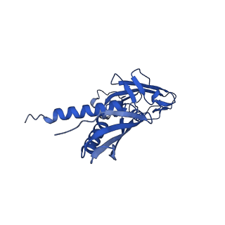 21881_7khi_A_v1-2
Escherichia coli RNA polymerase and rrnBP1 promoter complex with DksA/ppGpp