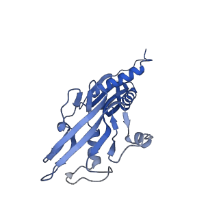 21881_7khi_B_v1-1
Escherichia coli RNA polymerase and rrnBP1 promoter complex with DksA/ppGpp