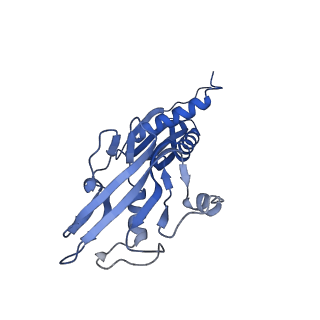 21881_7khi_B_v1-2
Escherichia coli RNA polymerase and rrnBP1 promoter complex with DksA/ppGpp