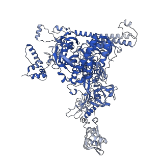 21881_7khi_C_v1-1
Escherichia coli RNA polymerase and rrnBP1 promoter complex with DksA/ppGpp