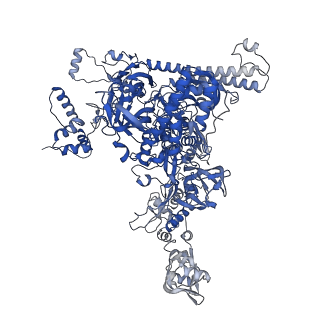 21881_7khi_C_v1-2
Escherichia coli RNA polymerase and rrnBP1 promoter complex with DksA/ppGpp