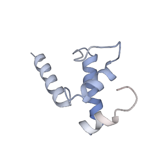 21881_7khi_E_v1-1
Escherichia coli RNA polymerase and rrnBP1 promoter complex with DksA/ppGpp