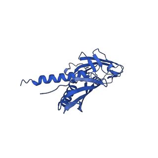 21883_7khe_A_v1-1
Escherichia coli RNA polymerase and rrnBP1 promoter pre-open complex with DksA/ppGpp