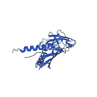 21883_7khe_A_v1-2
Escherichia coli RNA polymerase and rrnBP1 promoter pre-open complex with DksA/ppGpp