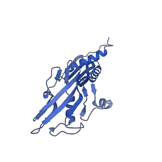 21883_7khe_B_v1-1
Escherichia coli RNA polymerase and rrnBP1 promoter pre-open complex with DksA/ppGpp