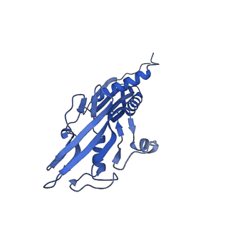 21883_7khe_B_v1-2
Escherichia coli RNA polymerase and rrnBP1 promoter pre-open complex with DksA/ppGpp