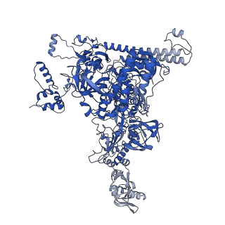 21883_7khe_C_v1-1
Escherichia coli RNA polymerase and rrnBP1 promoter pre-open complex with DksA/ppGpp