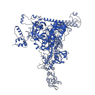 21883_7khe_C_v1-2
Escherichia coli RNA polymerase and rrnBP1 promoter pre-open complex with DksA/ppGpp