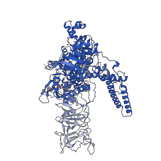 21883_7khe_D_v1-1
Escherichia coli RNA polymerase and rrnBP1 promoter pre-open complex with DksA/ppGpp