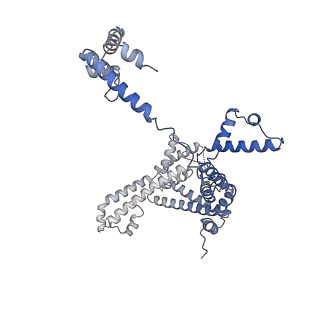 21883_7khe_F_v1-1
Escherichia coli RNA polymerase and rrnBP1 promoter pre-open complex with DksA/ppGpp