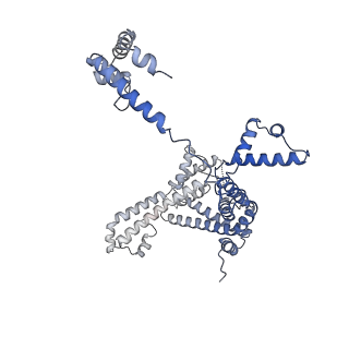 21883_7khe_F_v1-2
Escherichia coli RNA polymerase and rrnBP1 promoter pre-open complex with DksA/ppGpp