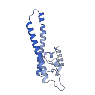 21883_7khe_M_v1-1
Escherichia coli RNA polymerase and rrnBP1 promoter pre-open complex with DksA/ppGpp