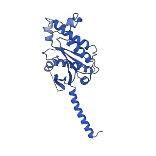 22872_7kh0_A_v1-2
Cryo-EM structure of the human arginine vasopressin AVP-vasopressin receptor V2R-Gs signaling complex