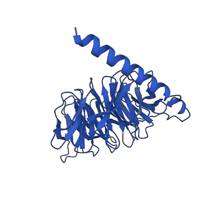 22872_7kh0_B_v1-2
Cryo-EM structure of the human arginine vasopressin AVP-vasopressin receptor V2R-Gs signaling complex
