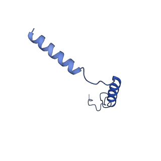 22872_7kh0_G_v1-2
Cryo-EM structure of the human arginine vasopressin AVP-vasopressin receptor V2R-Gs signaling complex