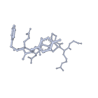 22872_7kh0_L_v1-2
Cryo-EM structure of the human arginine vasopressin AVP-vasopressin receptor V2R-Gs signaling complex