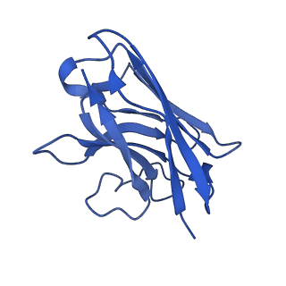 22872_7kh0_N_v1-2
Cryo-EM structure of the human arginine vasopressin AVP-vasopressin receptor V2R-Gs signaling complex